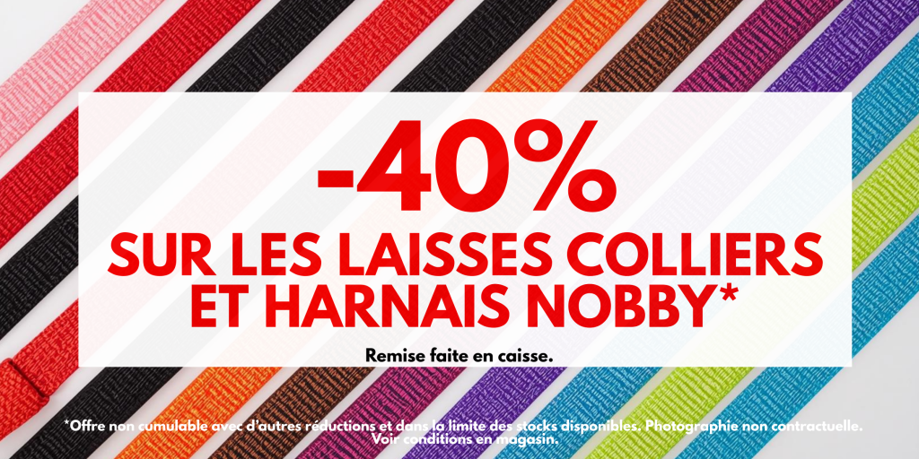 Bannière journée -15%