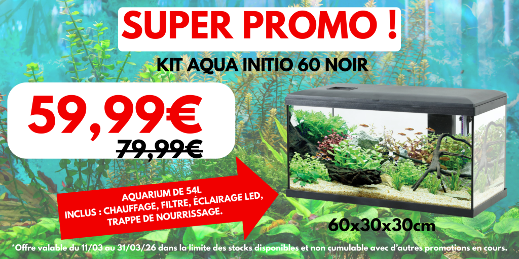 Promo pour aquarium