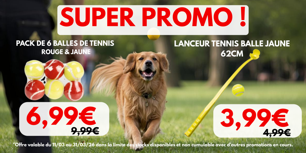 Promo balles à lancer