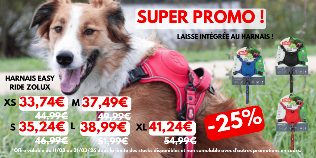 Super promo sur les laisses-harnais