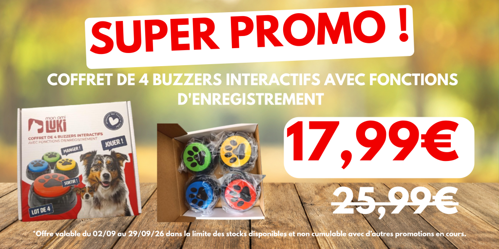 coffret de 4 buzzers interactifs avec fonctions à 17,99€ au lieu de 25.99€