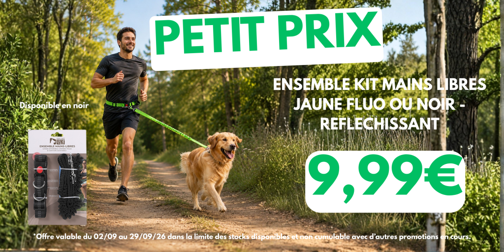 Ensemble kit main libre jaune fluo ou noir réfléchissant petit prix 9.99€
